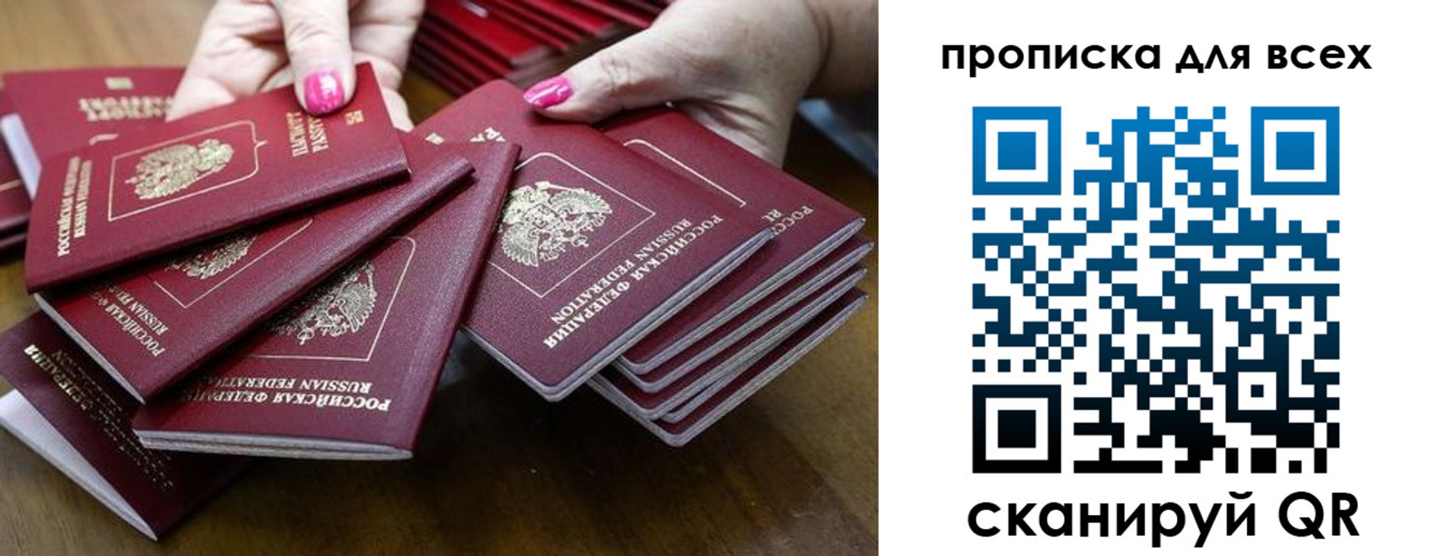 прописка гарантия в Тосно